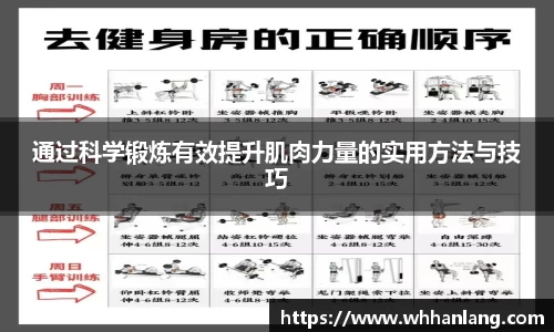 通过科学锻炼有效提升肌肉力量的实用方法与技巧